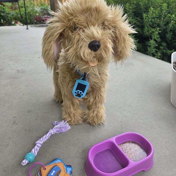 Interactive Plush Dog Toy with Accessories